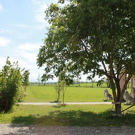 New Flowers Farm B&B Noceto Exteriör bild