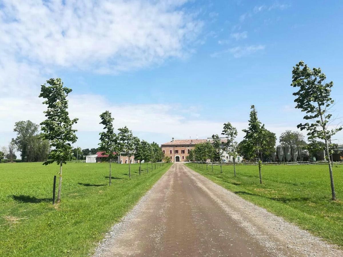 New Flowers Farm B&B Noceto Exteriör bild