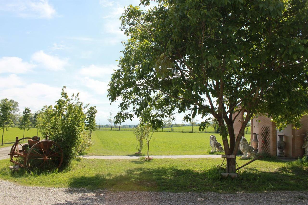 New Flowers Farm B&B Noceto Exteriör bild