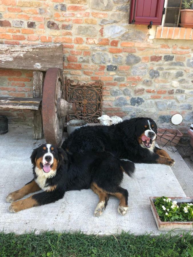 New Flowers Farm B&B Noceto Exteriör bild
